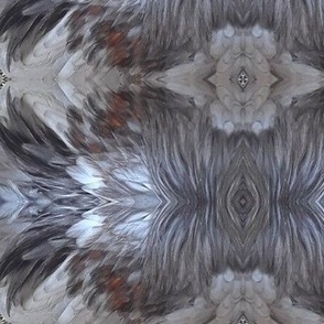 DU-B CHICKEN FEATHERS ABSTRACT 49 LARGE