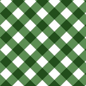 Kelly Green Gingham Large Bias