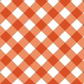 Peach Gingham Large Bias