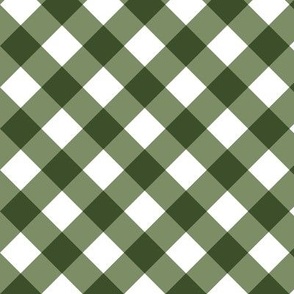 Sage Gingham Large Bias