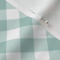 Sea Glass Gingham Large Bias