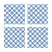 Sky Blue Gingham Large Bias