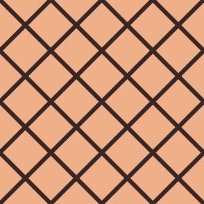 DSC1 - Medium Diagonal Grid in Peach and Brown