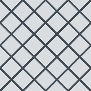 DSC4  - Medium - Diagonal Grid in  Charcoal and Gray