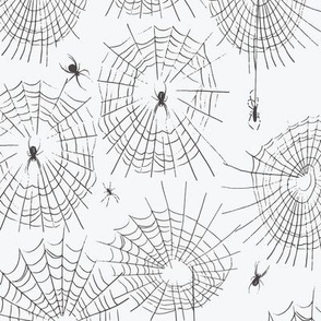 0188_LH_Spider Webs