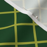 DSC13 - Medium - Diagonally Checked Grid in Olive Green
