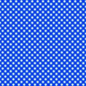 Cobalt Gingham Small Bias