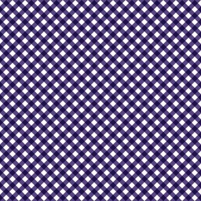 Grape Gingham Small Bias