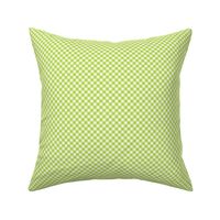 Honeydew Gingham Small Bias