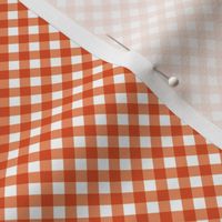 Peach Gingham Small Bias