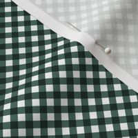 Pine Gingham Small Bias