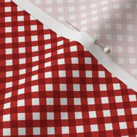 Poppy Red Gingham Small Bias