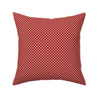 Poppy Red Gingham Small Bias