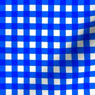 Cobalt Gingham Large