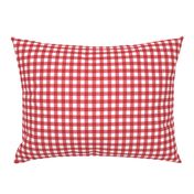 Watermelon Gingham Large