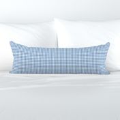 Sky Blue Gingham Small