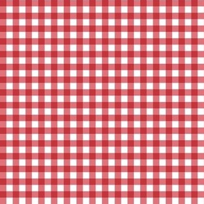 Watermelon Gingham Small