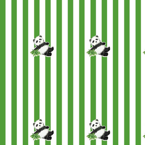 Panda Stripes