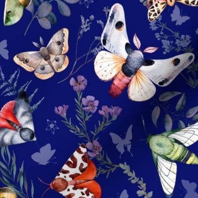 Butterflies and Moths Deep Blue