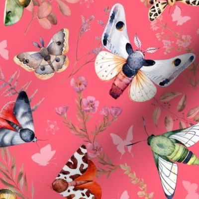 Butterflies and Moths on Coral