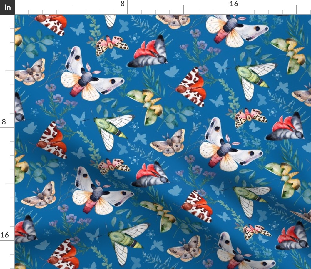 Butterflies and Moths on Turquoise