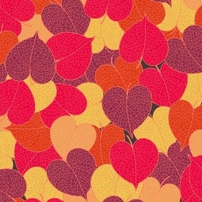 Autumn love leaves red yellow orange