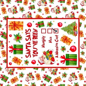 Fat Quarter Panel for Tea Towel or Wall Art Hanging Santa Says You've Been Nice Naughty A Massive Cunt Sweary Sarcastic Adult Humor
