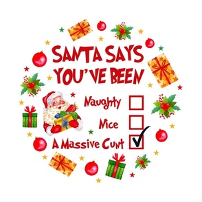 18x18 Panel Santa Says You've Been Nice Naughty A Massive Cunt Adult Sweary Sarcastic Christmas Humor for DIY Throw Pillow Cushion Cover Tote Bag