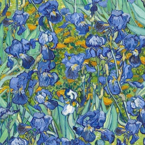 Vincent Van Gogh Irises SMALL