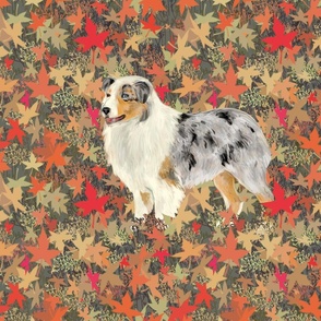 Tricolor Merle Australian Shepherd Dog for Pillow on Autumn Leaves