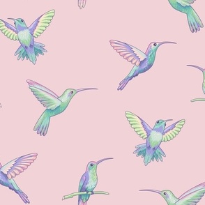 Hummingbirds  cotton candy pink