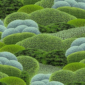 MOSSY LANDSCAPE