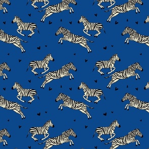 Wild Zebra navy small 