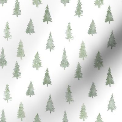 Pine Trees on White- Small