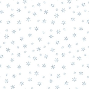 Icy Snowflakes frame