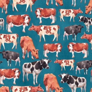 Large Scale Cows on Blue