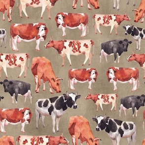 Large Scale Cows on Tan