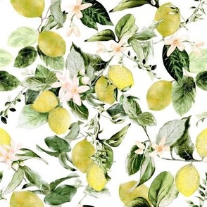 Lemons and Flower Blossoms
