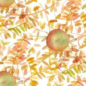 apples & autumn foliage 