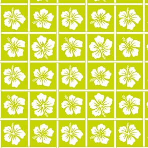 Hibiscus Grid - Lime