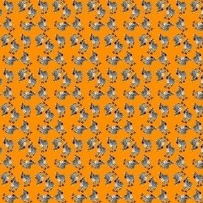 Tiny Dancing Zebras - Tangerine