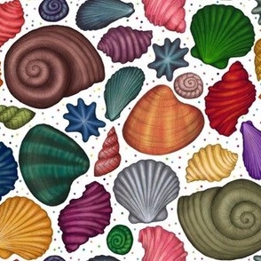 Rainbow Seashells