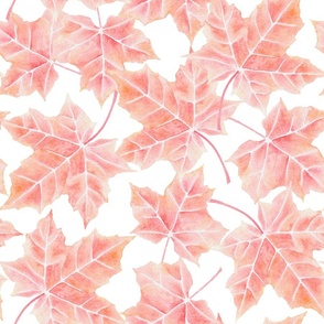 watercolor autumn foliage, thanksgiving home decor,  fall red pink maple leaf M