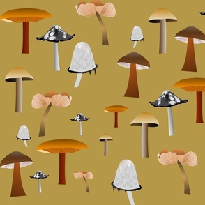 Mushrooms Many
