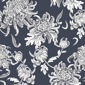 chrysanthemum  blue grey