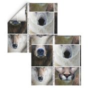 Bears, Gray Wolf, Cougar Realistic Face Mask fabric 