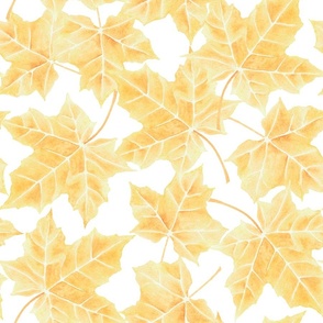 watercolor autumn yellow foliage, thanksgiving home decor, fall maple leaves M