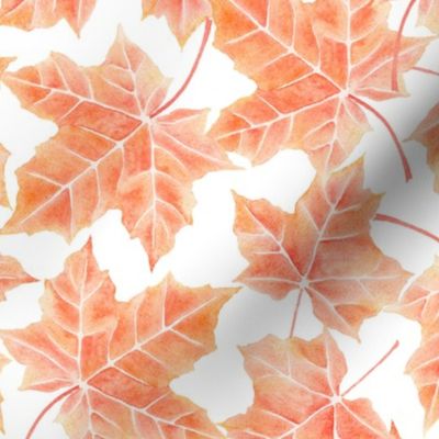 watercolor fall leaves, red autumn foliage, thanksgiving home decor, fall orange maple leaf S