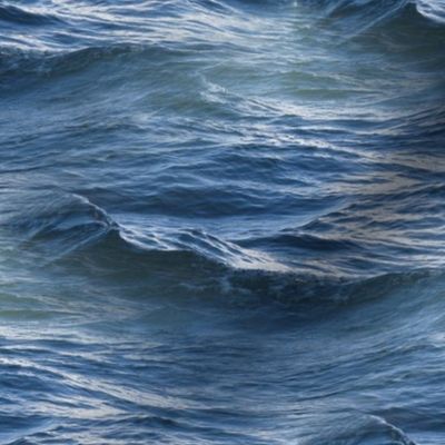 Siren of the Seas ~  Seadrift ~ Medium