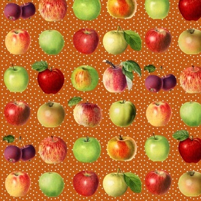 Apples Autumn Fall Donuts Apple Cider Cider Jayme Spoonflower Fabric by the Yard 